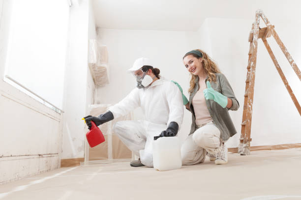 Best Mold Remediation for Healthcare Facilities  in Alta Sierra, CA